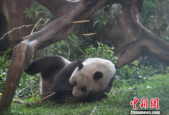 �D�顰�����������似��(c��)�L������������ �z