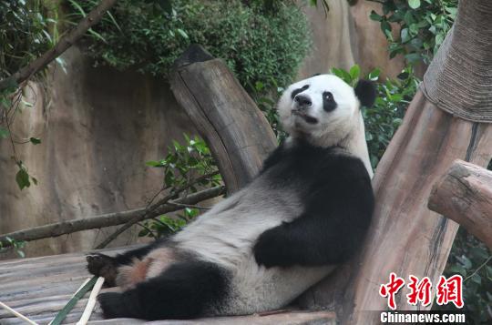 �D�顰���������ژ�����u������������ �z