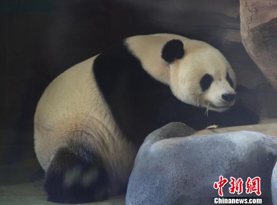 �D�顰���ա��ڴ��˯���������� �z