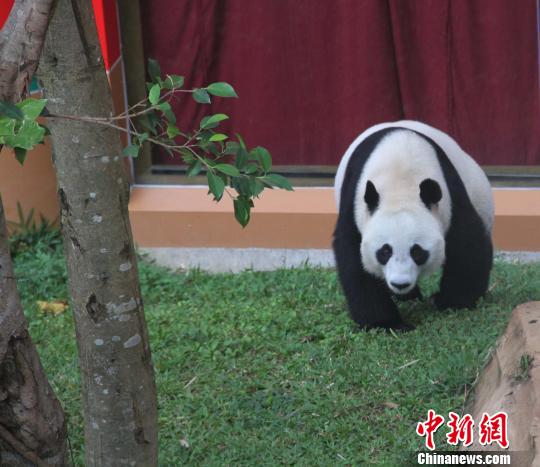 �D�顰������������ɢ������������ �z