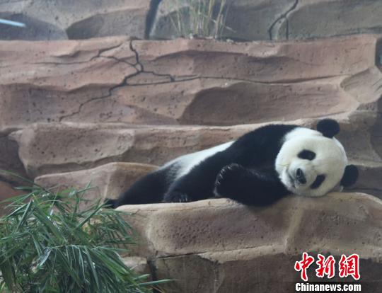 �D�鄂��ġ����ա����u������������ �z