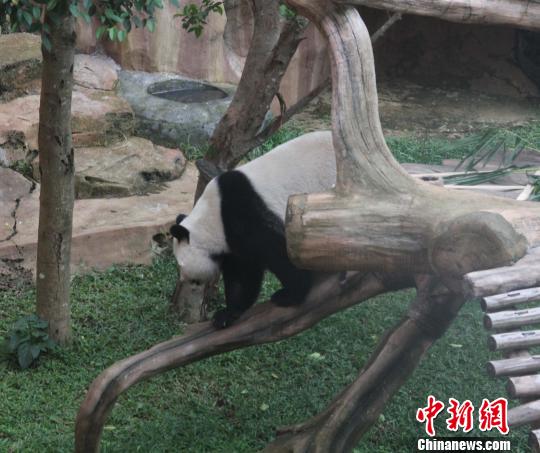 �D�顰�������ߡ���(d��)ľ������������ �z