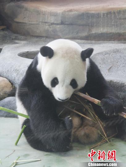 �D�顰���ա��ڳ��������������� �z