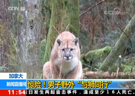 ���ô��@�U(xi��n)������Ұ�⡰�c�{ͬ�С�