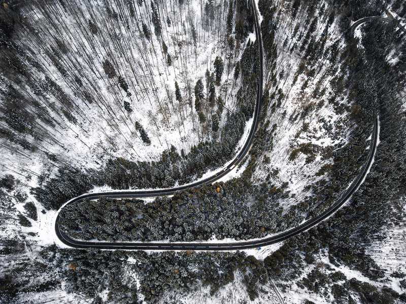 �_�R�၆�zӰ��Nicu Spinu�z�ښW�޲��ƾS�{��