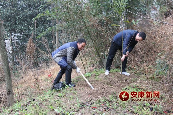 311޿hֱC(j)P(gun)300˅x(w)ֲ(dng)ֲ˘1400áԓhӋ(j)G6.2fд