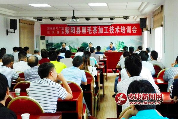 紫陽(yáng)黑毛茶加工培訓(xùn)會(huì)01_副本.jpg