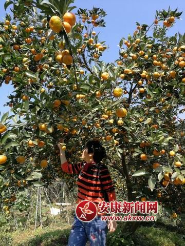 �{(di��o)����С mmexport1509844152583.jpg