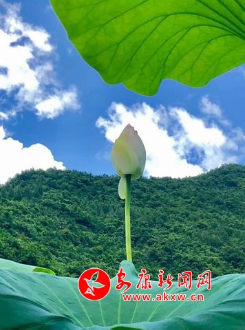 �{(di��o)����С ΢�ňDƬ_20180723112425.jpg