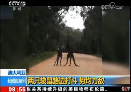 �Ĵ���·߅�򶷄ݾ�����,���ֲ���