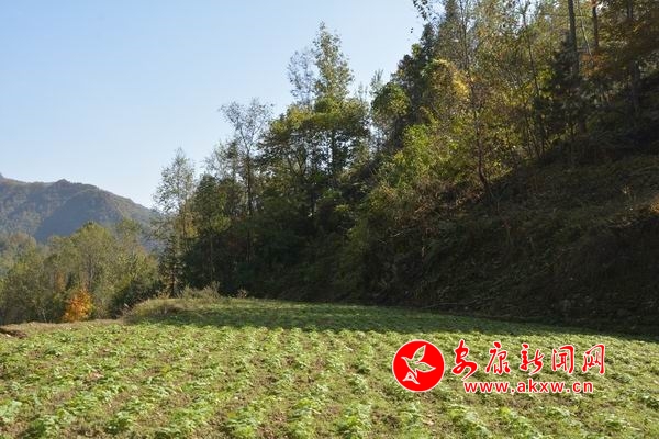 �{(di��o)����С DSC_7051.JPG