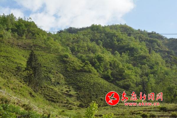 �{(di��o)����С DSC_9602.JPG