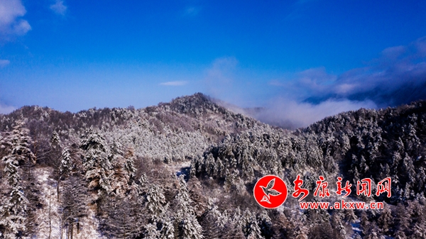 (zhn)ƺɽ ѩV箋(hu)