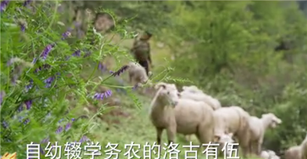 ȫÓؚԡ(yu)o(j)Ƭչo(j)ƬӛĽY(ji)5