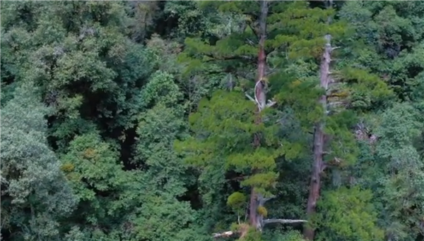 ȫÓؚԡ(yu)o(j)ƬչԽŭؓɽ