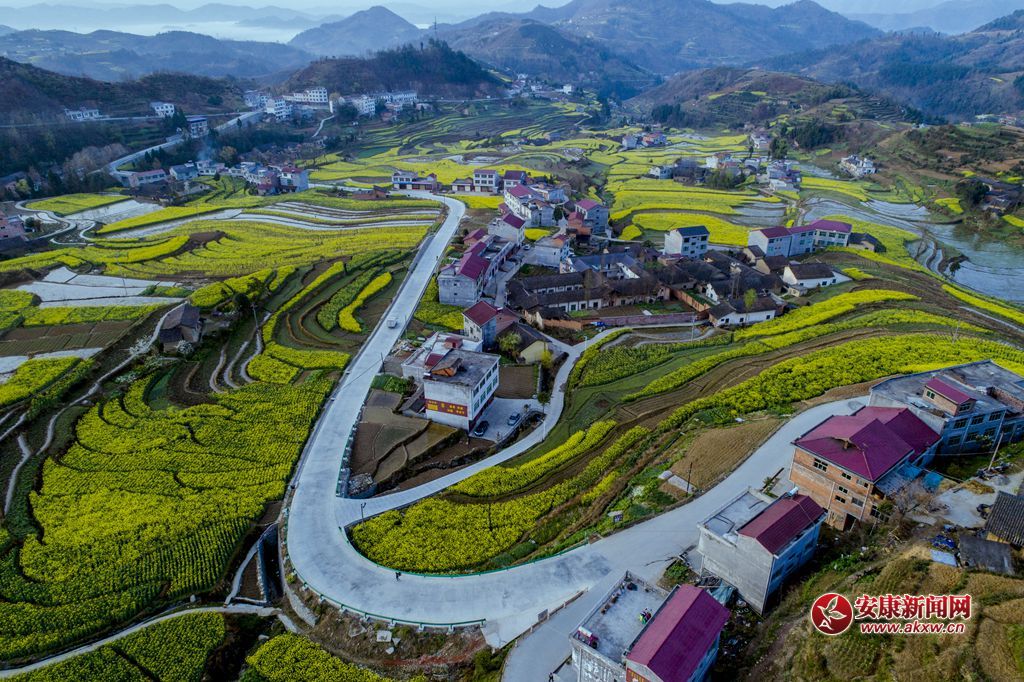 PߴɫzӰƤ¾SԒh13325355508Ĕzʡhꎿhu(zhn)P߹ - .JPG