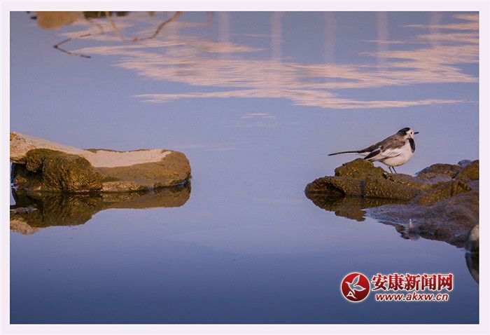 ˮһɫzӰƤ¾SfƬ2017123ʡНhĔzչF(xin)õB(ti)h(hun)(lin)ϵԒ