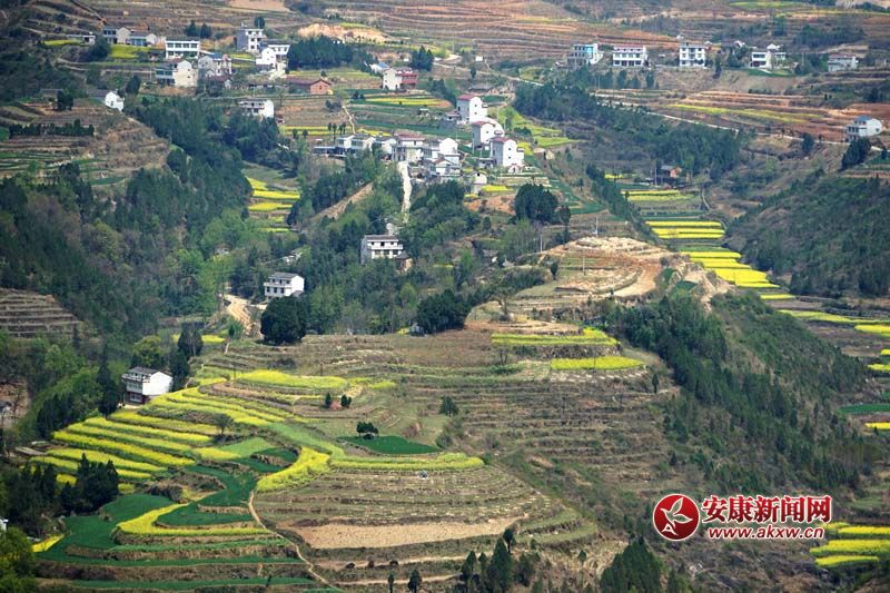 D2.̎(gu)(ni)ꑸ(d)߁ɽɽɽص6Nεòc(din)˷Ϣ@˂ò