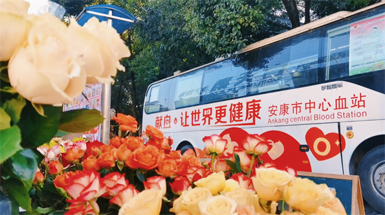 安康這三兄妹，熱血！