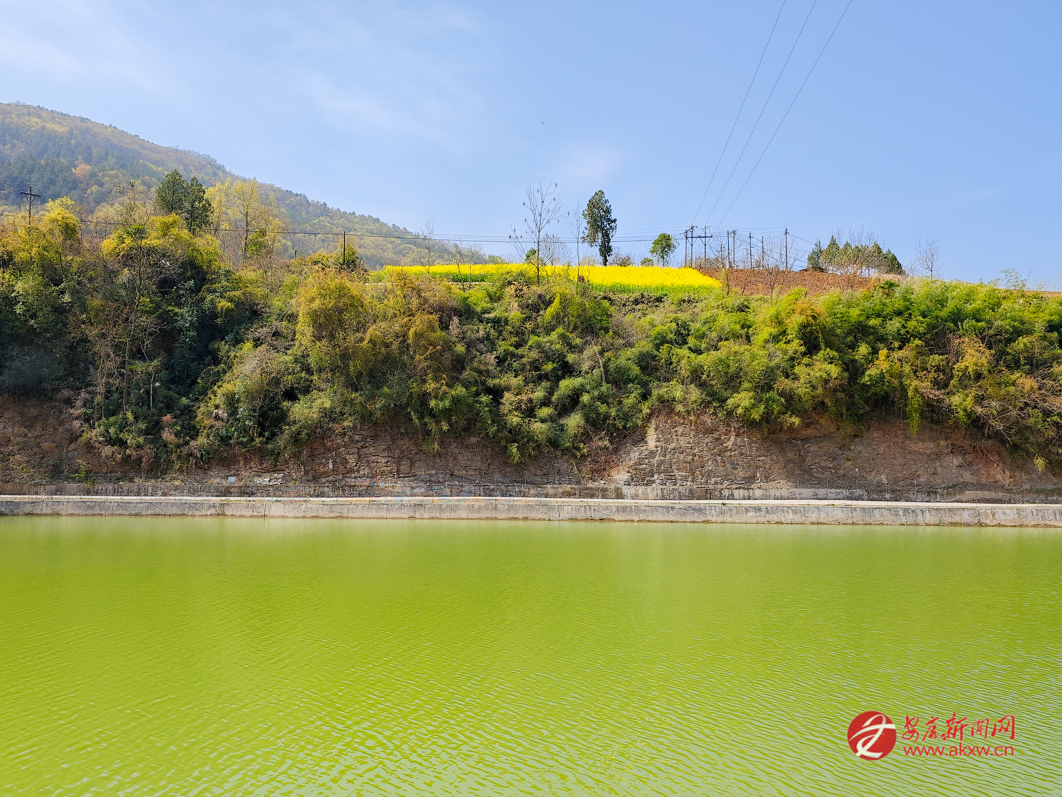 映著春光的一泓清水